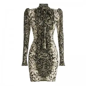 SS2315 Mesh Digital Leopard Printed Knight  Long Sleeve Tied Neck Mini Dress